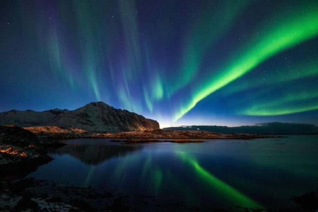 Villa Borgvag - A Unique Seafront Villa In The Heart Of Lofoten Bostad Екстер'єр фото