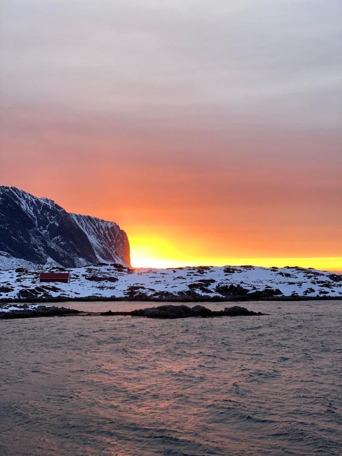 Villa Borgvag - A Unique Seafront Villa In The Heart Of Lofoten Bostad Екстер'єр фото