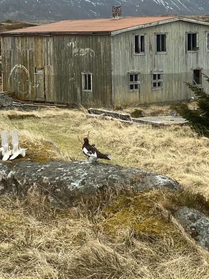 Villa Borgvag - A Unique Seafront Villa In The Heart Of Lofoten Bostad Екстер'єр фото